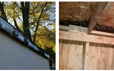 Importance of Installing Gutters on Your Home