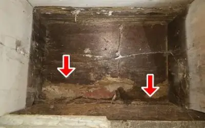 The Importance of a WDI Inspection