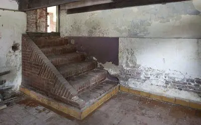 Basement Mold—and What Can Be Done About It