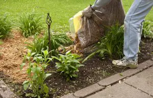 outdoor home maintenance tasks