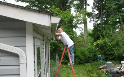 How To Clean the Gutters During Fall