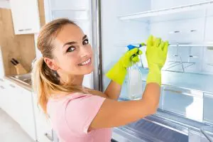 clean inside your appliances when spring cleaning