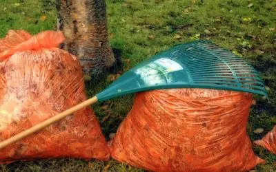 5 Tips to Boost Fall Curb Appeal