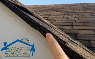 How does home inspection work?