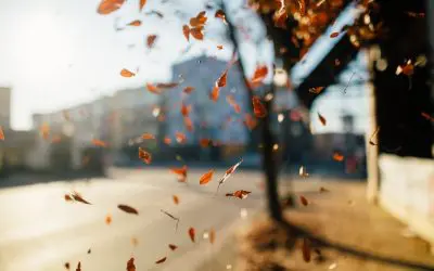 August Home Tips: Get Your Home Ready for Fall