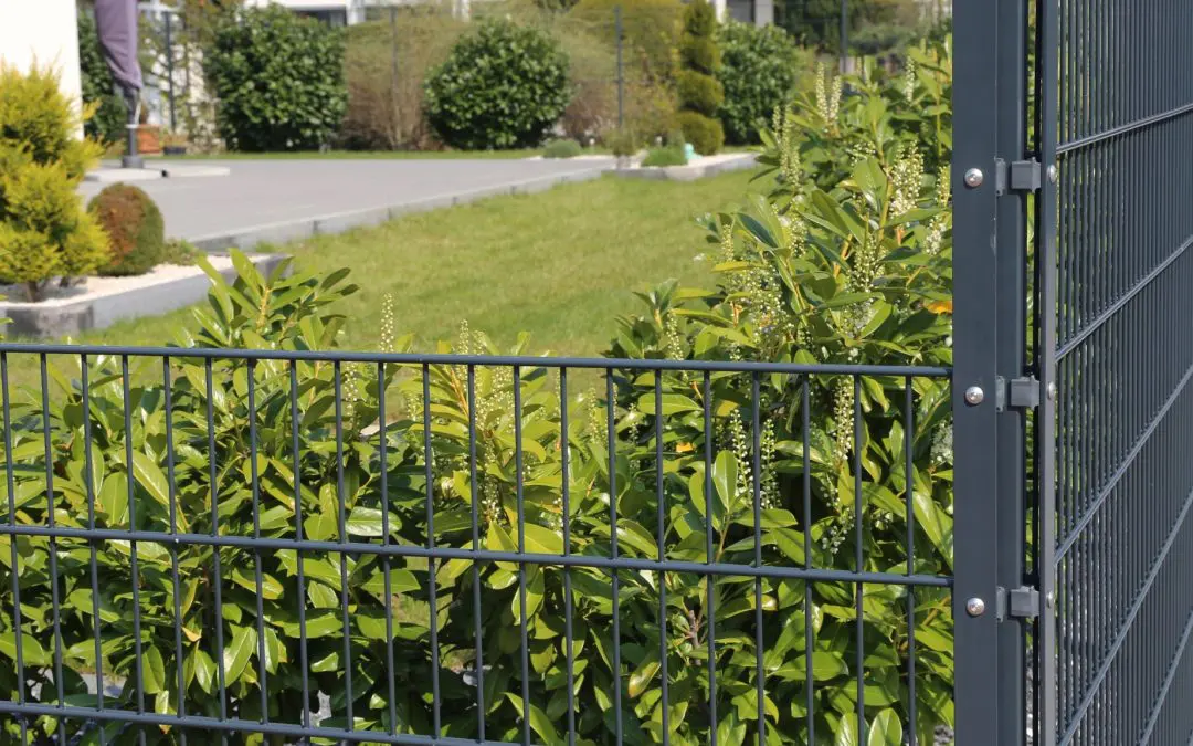 Mastering Property Lines: A Comprehensive Guide for Homeowners