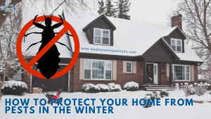 How to protect your home from pests in the winter