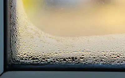 Preventing Window Condensation: Tips and Tricks for a Healthier Home Environment