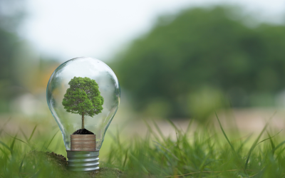 Green Home Upgrades: Invest in Your Wallet & the Planet