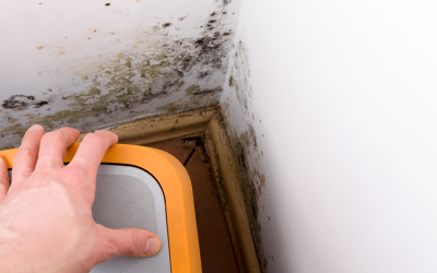 Effective Tips for Keeping Your Home Mold and Mildew-Free