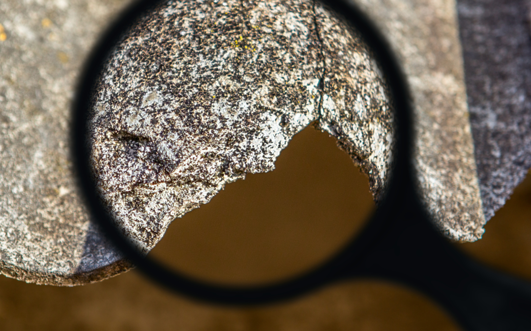 Detecting Mold, Asbestos, and Radon in Your Home