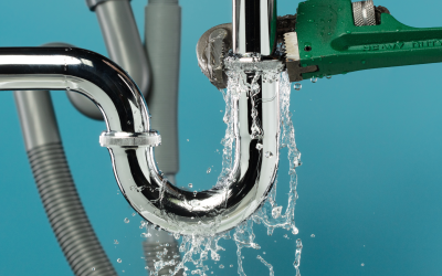 DIY Plumbing Repairs: A Comprehensive Guide to Common Issues