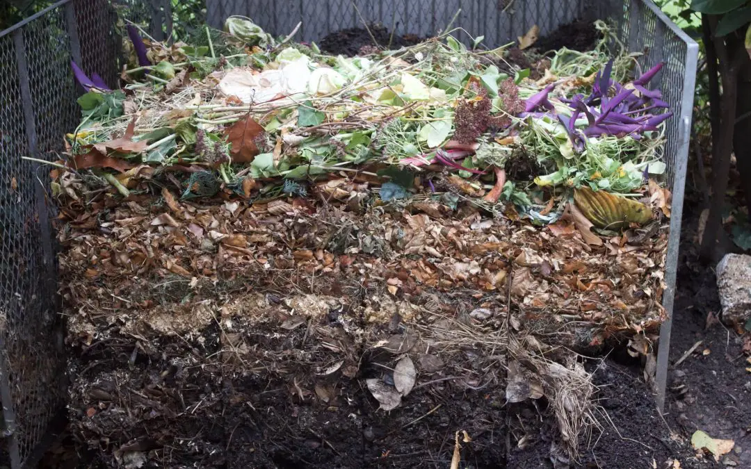 Composting at Home: A Simple Guide to Reducing Waste