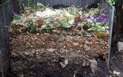 Composting at Home: A Simple Guide to Reducing Waste