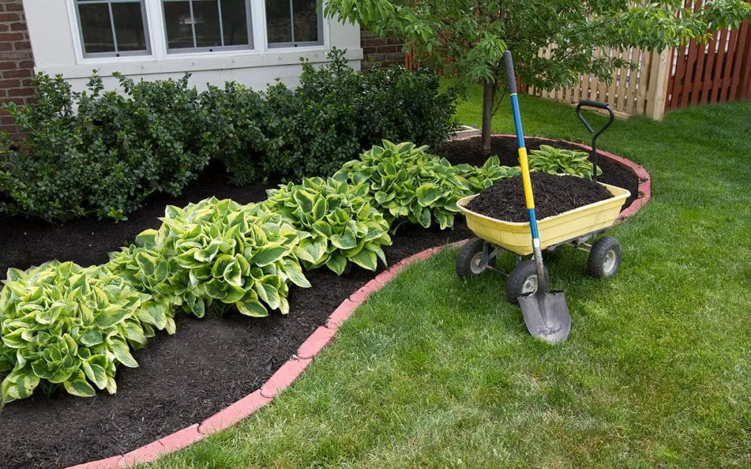 Landscaping on a Budget: Ways to Create a Beautiful Your Yard Without Overspending