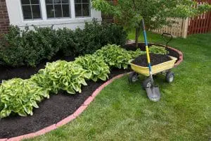 Landscaping on a Budget