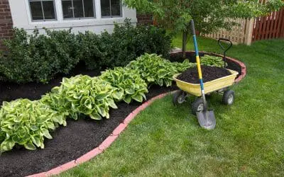 Landscaping on a Budget: Ways to Create a Beautiful Your Yard Without Overspending