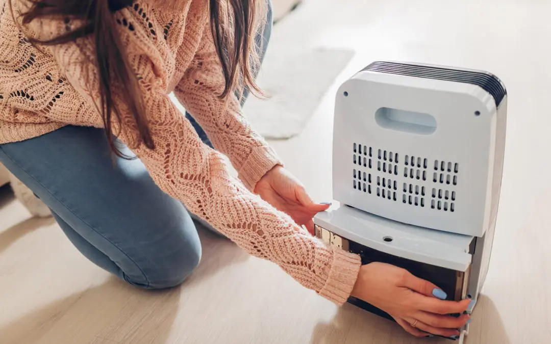 Breathe Easier: How to Reduce Humidity in Your Home