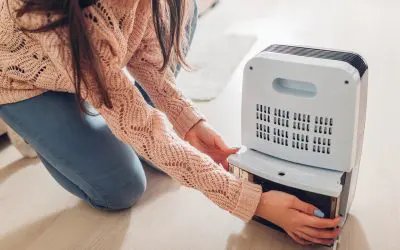 Breathe Easier: How to Reduce Humidity in Your Home