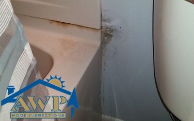 Signs of moisture and water damage