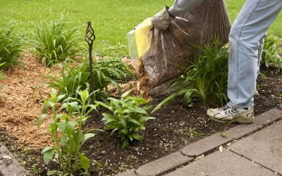 6 Outdoor Home Maintenance Tasks You Should Tackle in Spring
