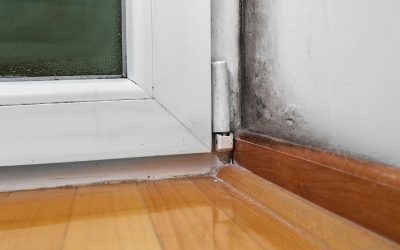 Six Signs of Mold In the Home
