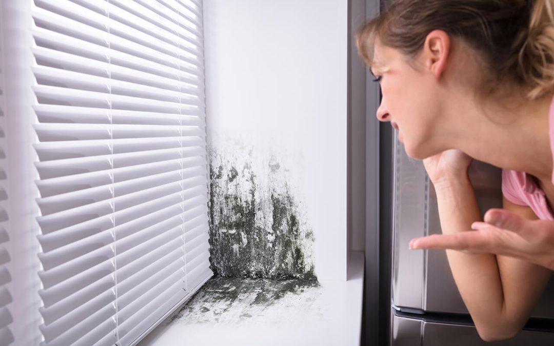 5 Areas to Check if Your Home Smells Funny