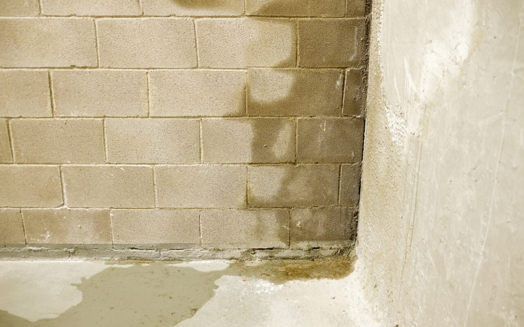 4 Tips to Keep Your Basement Dry