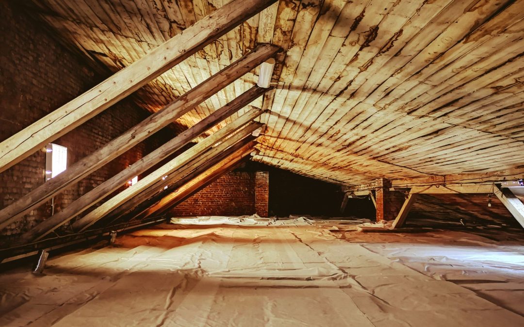 4 Hidden Dangers in Your Attic and How to Avoid Them