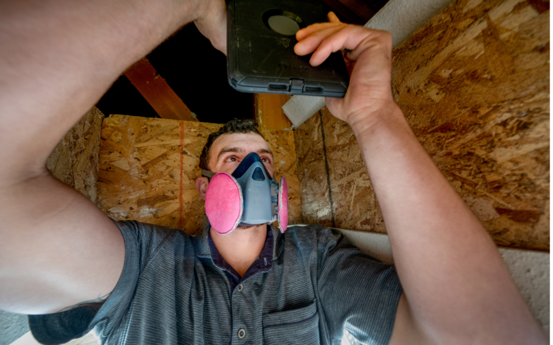The Growing Importance of Home Inspections in the Home Buying Process