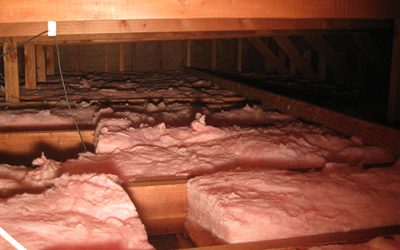The Importance of Crawl Space Maintenance