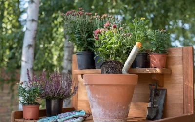Improve the Deck for Fall: 4 Tips for Your Outdoor Living Spaces