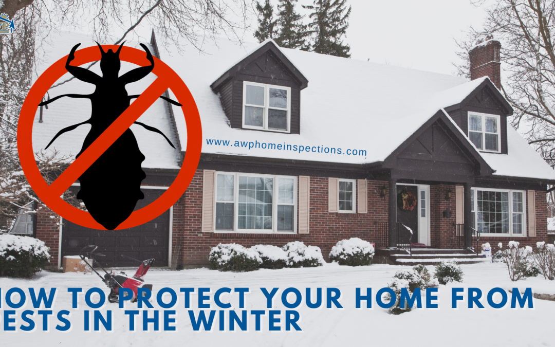 How to Protect Your Home From Pests in the Winter