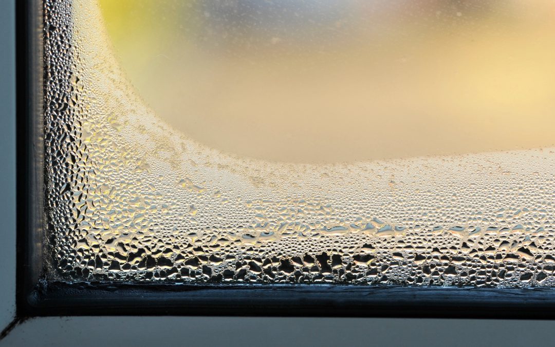 Preventing Window Condensation: Tips and Tricks for a Healthier Home Environment