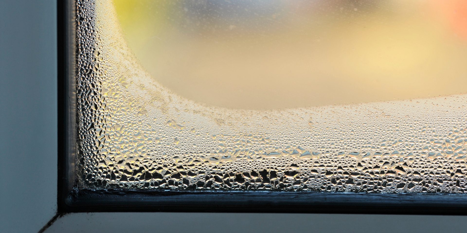 Window Condensation Prevention and Protect Your Home