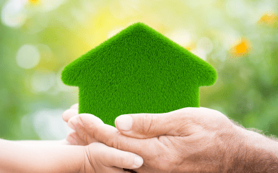Eco-Tips for a Sustainable Home: Small Changes with Big Impact