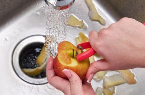 Top 10 Garbage Disposal Tips to Keep Yours Running Smoothly - AWP Home