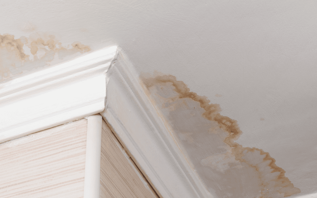 Banish Ceiling Water Stains for Good: A DIY Repair Guide
