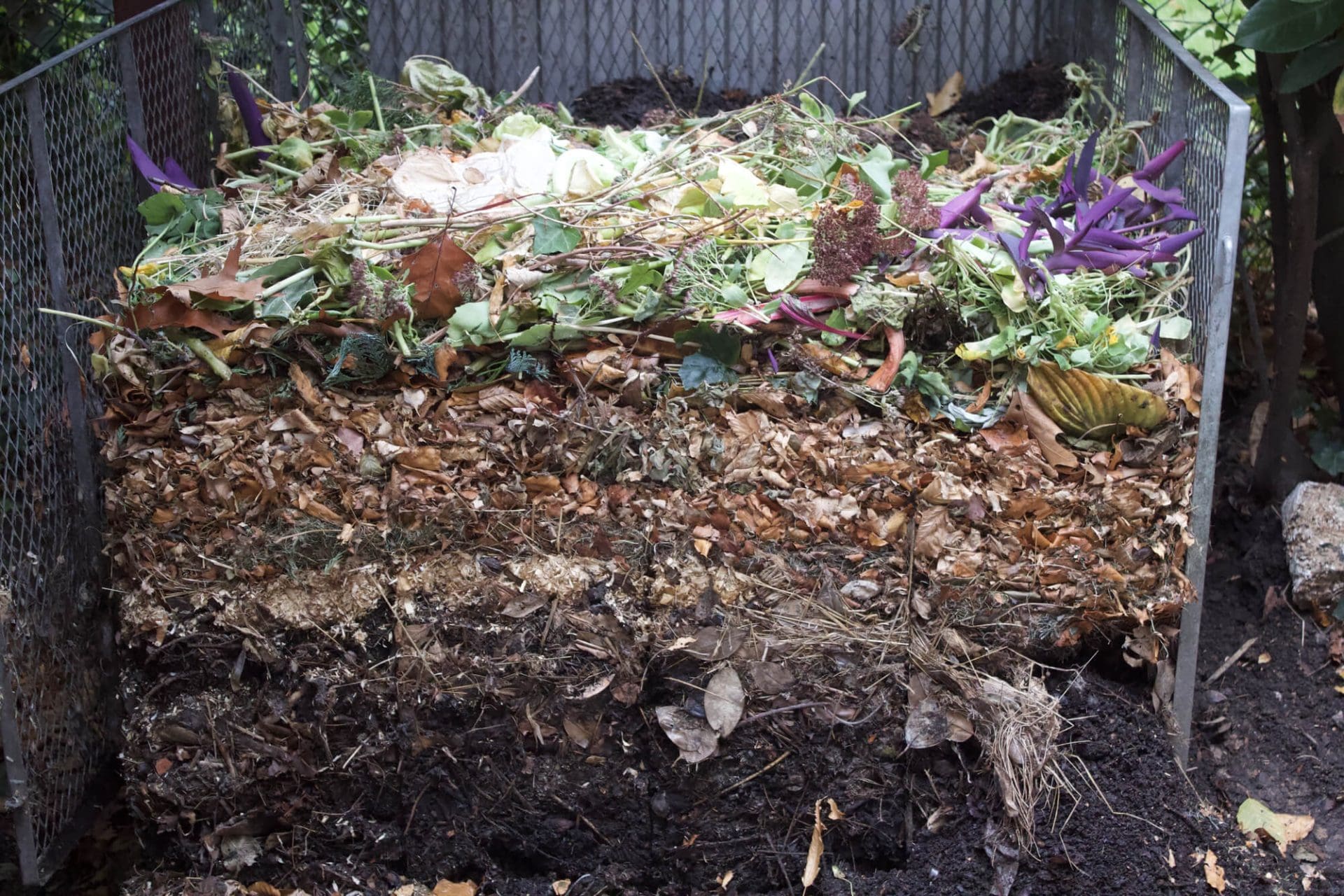 Composting at Home: A Simple Guide to Reducing Waste - AWP Home Inspections